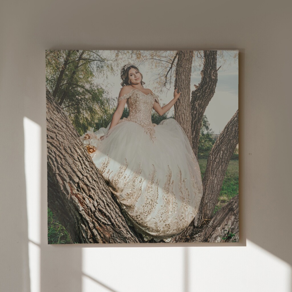 Cuadro canvas quinceañera en arbol